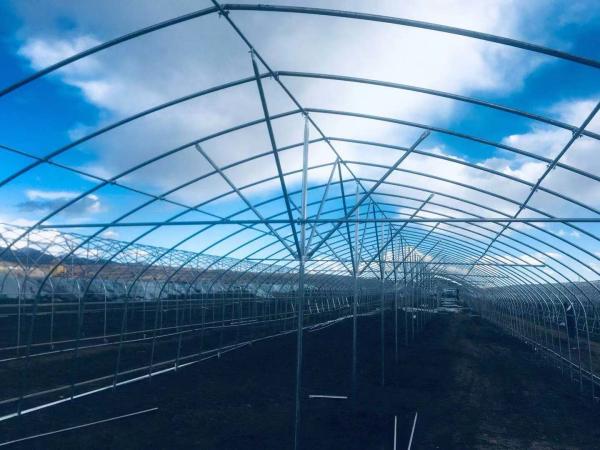 A barraca exterior interna da estufa pequena/vegetal cresce fácil da barraca instalado
