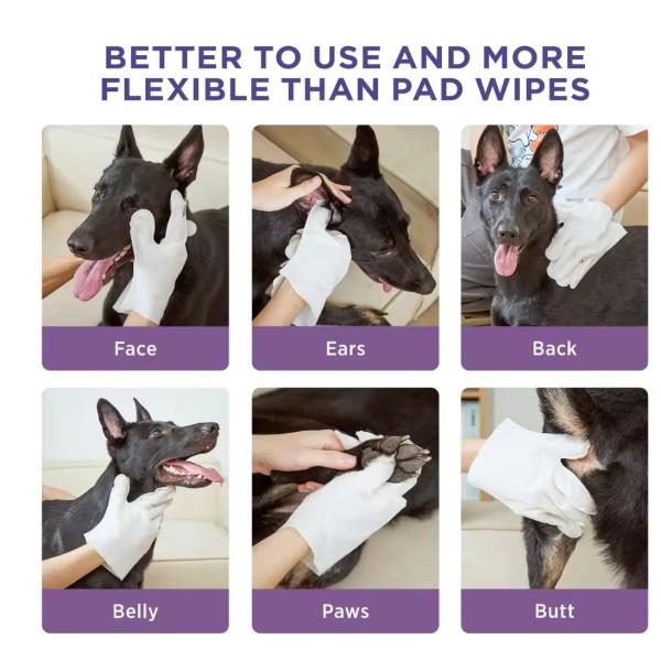 Convenient Pet Wipe Gloves Non Woven Dog Wipes Gloves Portable Safe Gentle Ingredients