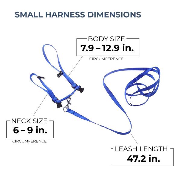 Небольшой воротник проводки кота любимца, регулируемый воротник кота нейлона легкий для того чтобы нести