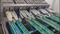 12 carriles 12 puntos de venta Máquina de clasificación de anacardos 1000 kg/hora con escaneo giratorio de 360° y tecnología de aprendizaje profundo