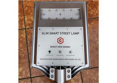 O brilho alto 30W IP67 integrou luzes de rua do painel solar