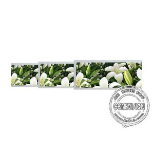 Белым супер широким реклама Адвокатуры неполной вырубки экранного дисплея Лкд стены 1920*540 протягиванная держателем