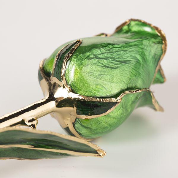 Gold Plated Rose  Wholesale Green Fresh Rose with Stem Present  Rose Gift Valentine Mother Day