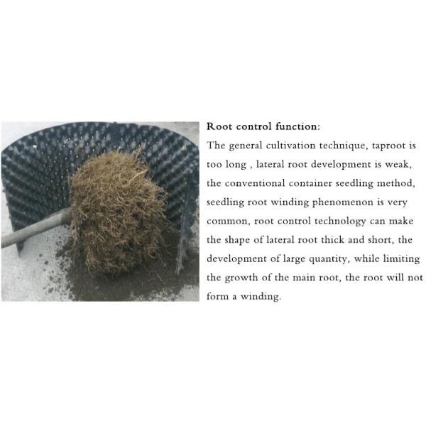 Бак корня воздуха PVC Eco дружелюбный провентилированный 0.5mm подрезая для засаживать семени