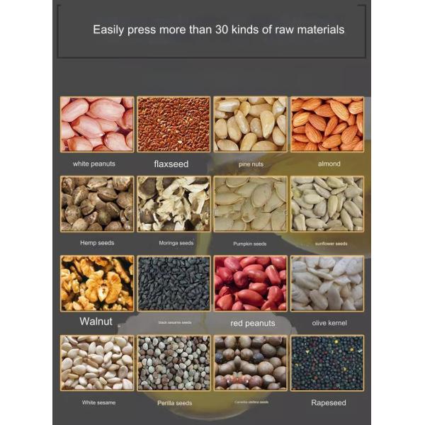 220v Multifunctional Seed Oil Press Machine Press Peanuts Soybeans Flax Seeds Sesame