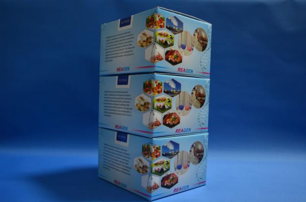 Plasmids Cell Lysates Kanamycin ELISA Test Kit