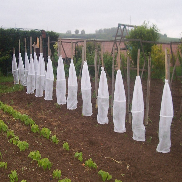 Peso ligero blanco de la tela del control de malas hierbas de la cubierta de tierra no tóxico para los árboles frutales