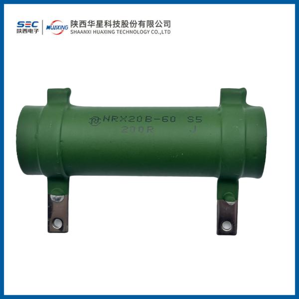 RX20B Varnished Wirewound Resistor