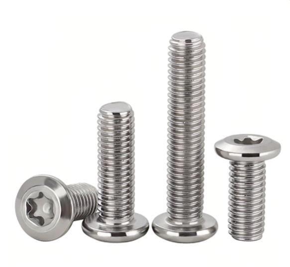 Custom Made Stainless Steel Torx Pan Head Machine Screws in Metric Measurement System