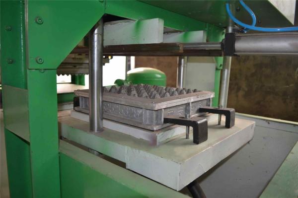 Automated Waste Paper Pulp Egg Tray Production Machine PLC Controlled System