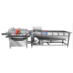 60Hz Vegetable Fruit Washing Machine