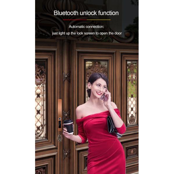 IP68 Waterproof FPC Fingerprint Smart Door Lock Bluetooth Antique