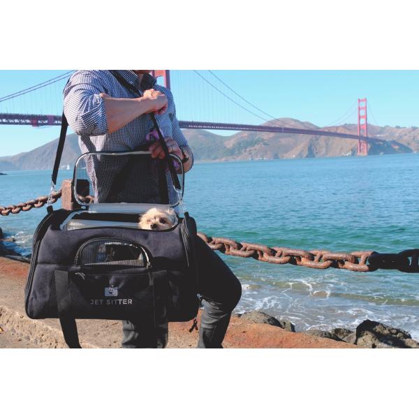 Luxurious Padded Interior Lined Pet Carrier Bag With Removable Roof Bars