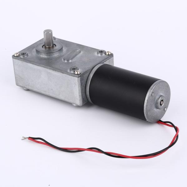 Faradyi Most Popular 12V 24V 5840 Worm Gear Self Locking Micro Dc Gear Motor