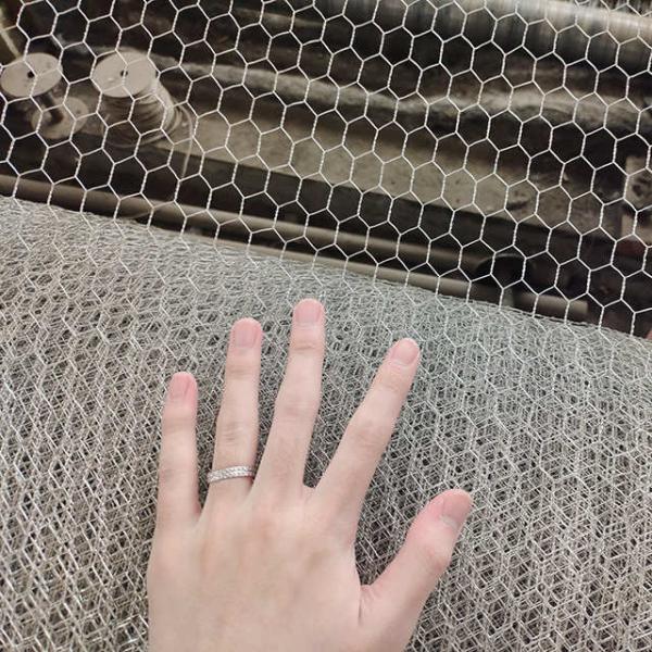 Galvanized Stainless Steel Hexagonal Gabion Mesh Erosion Resistant For Protection