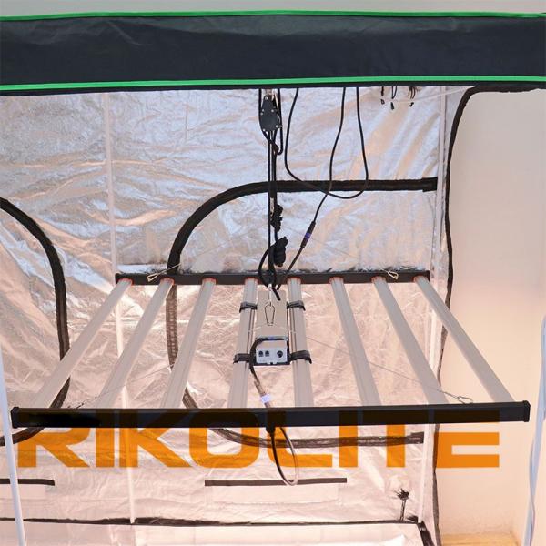 5X5 High Power LED Grow Lights LM301B / LM301H Osram 660nm Osram 730nm