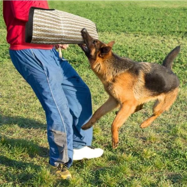 Canvas Dog Bite Tugs Pet Dog Tug Pillow Dog Training Equipment