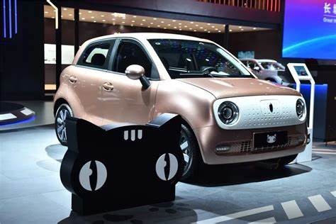 Энергия Vehices 102km/h черного кота Euler автомобилей 351KM электрическая мини EV новая для дамы