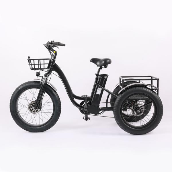 High Capacity Family Cargo Bike with Torque 80-90 Nm and Rear Carrier Battery Position