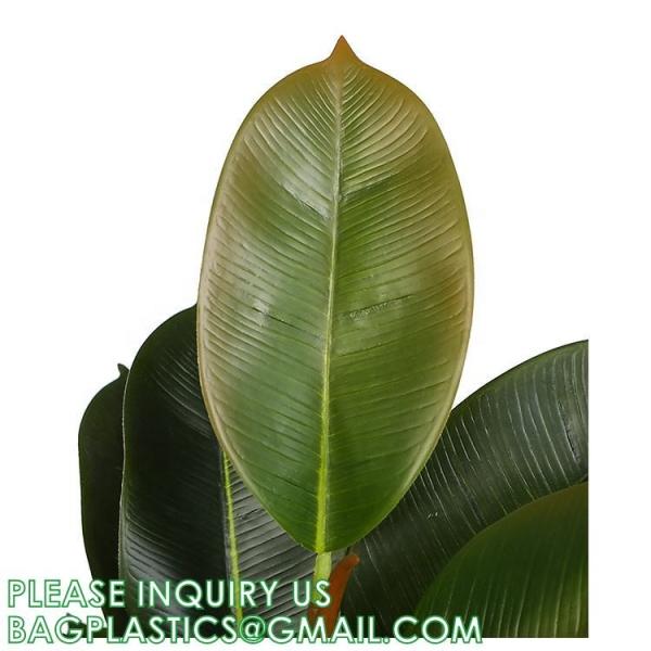 80cm Nearly Natural Looking Oak Tree Faux Plants Ornamental Indoor Tree Fashional Faux Oak Tree Plants Real Touch