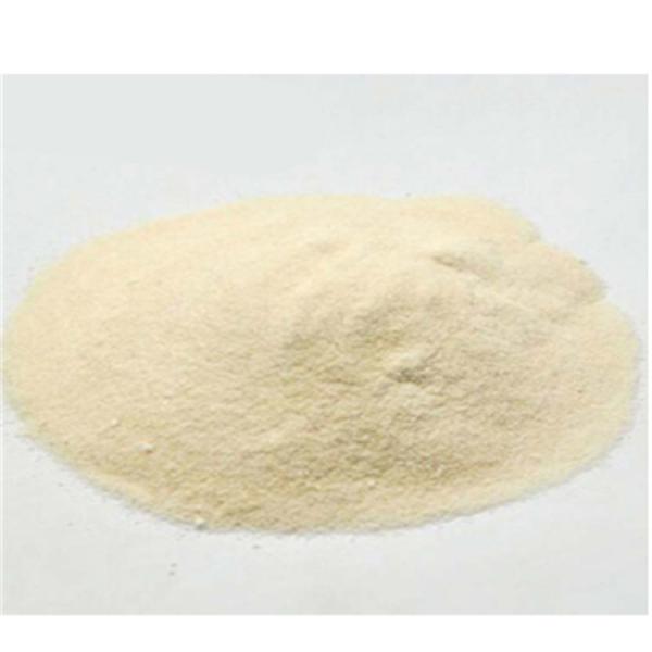 Wholesale Nutrition Muscle Building 100% Healthcare Supplement Organic Vegan Protein Powder