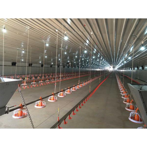 Light Weight Steel Structure Chicken Houses Prefab Farm Building