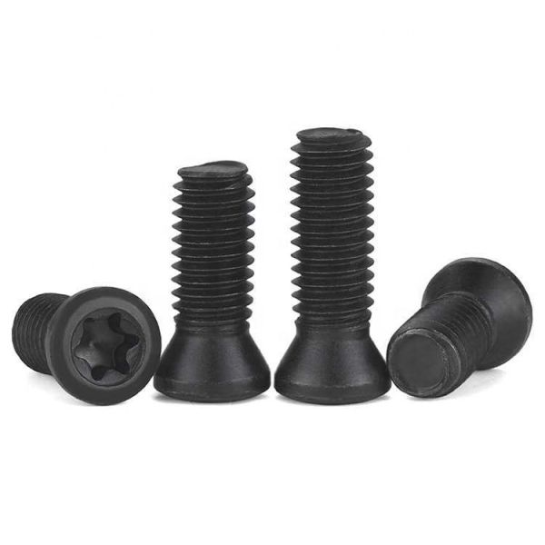 Stainless Steel Set Screw Insert Torx Screws For Milling Cutter Torx Plus Inserts M1.8-M5