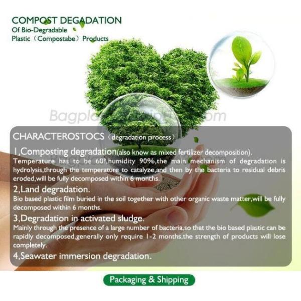 YANTAI BAGEASE PRODUCTS SUPPLIES MANUFACTURING CO.,LTD.