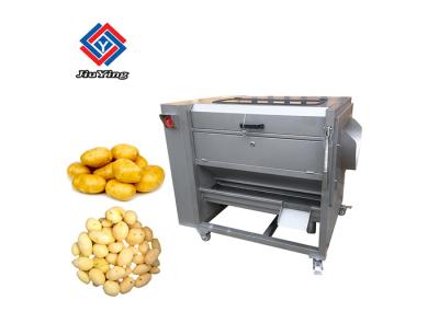 Limpeza vegetal do gengibre da máquina de lavar da escova da cenoura da máquina de Peeler