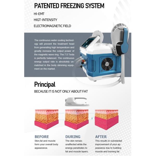 Портативный ваять мышцы тела потери веса Ems машины Emt экрана касания Hi