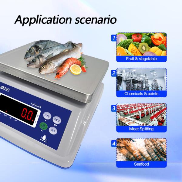 8V/1A Power Supply Waterproof Scale with Dual Screen Display and Precision Sensor