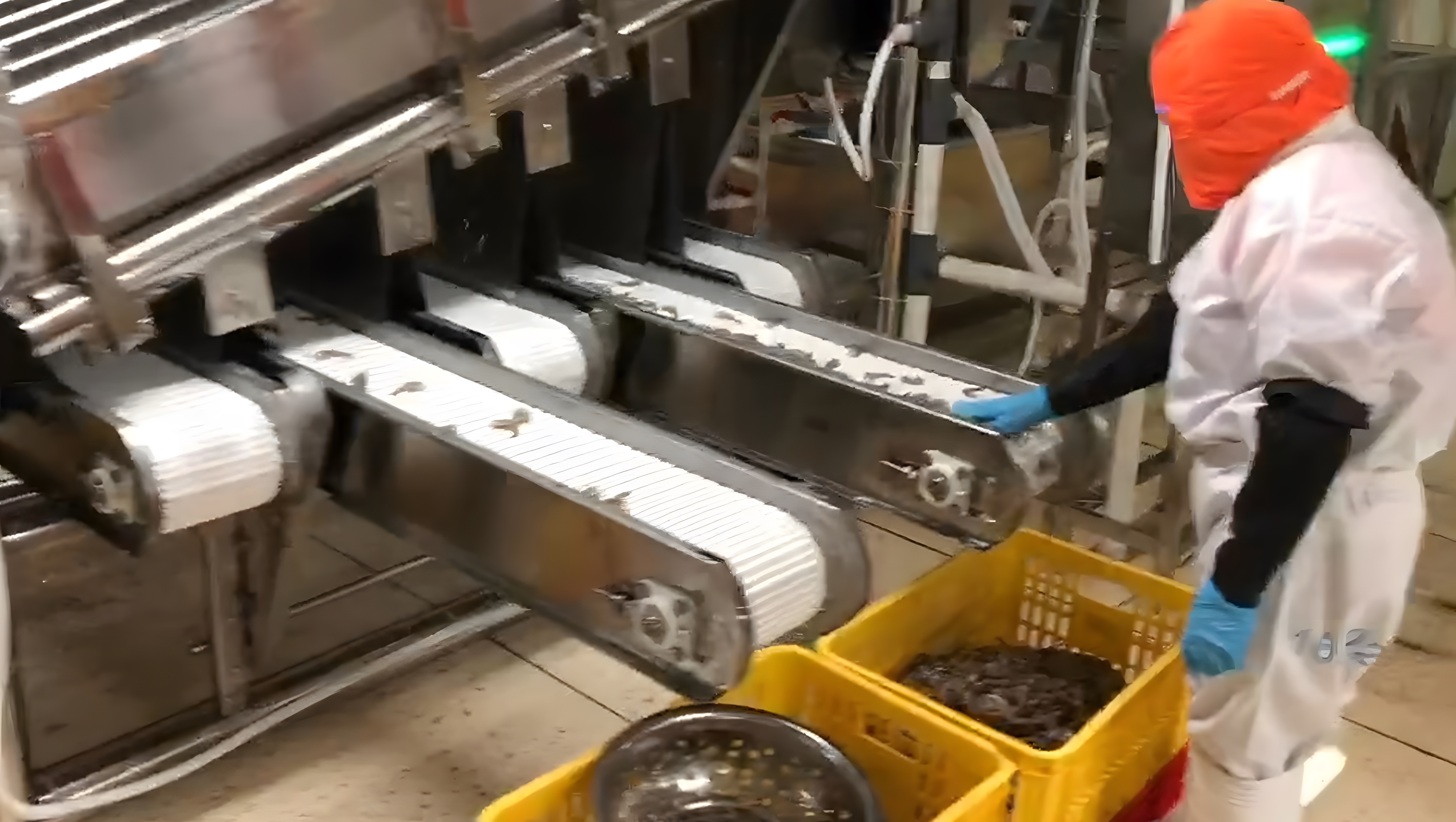 4.9kw Shrimp Processing Machine Prawn Roll Sorting Machine 1000kg-1200kg Capacity