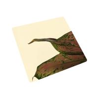 Oro pálido Espejo Hoja de acero inoxidable Decorativa Placa de acero inoxidable 0,3 mm de espesor