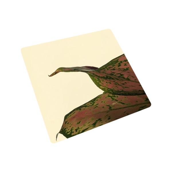 Светлозолотое зеркало Нержавеющая сталь Декоративная нержавеющая сталь Плита толщина 0,3 мм