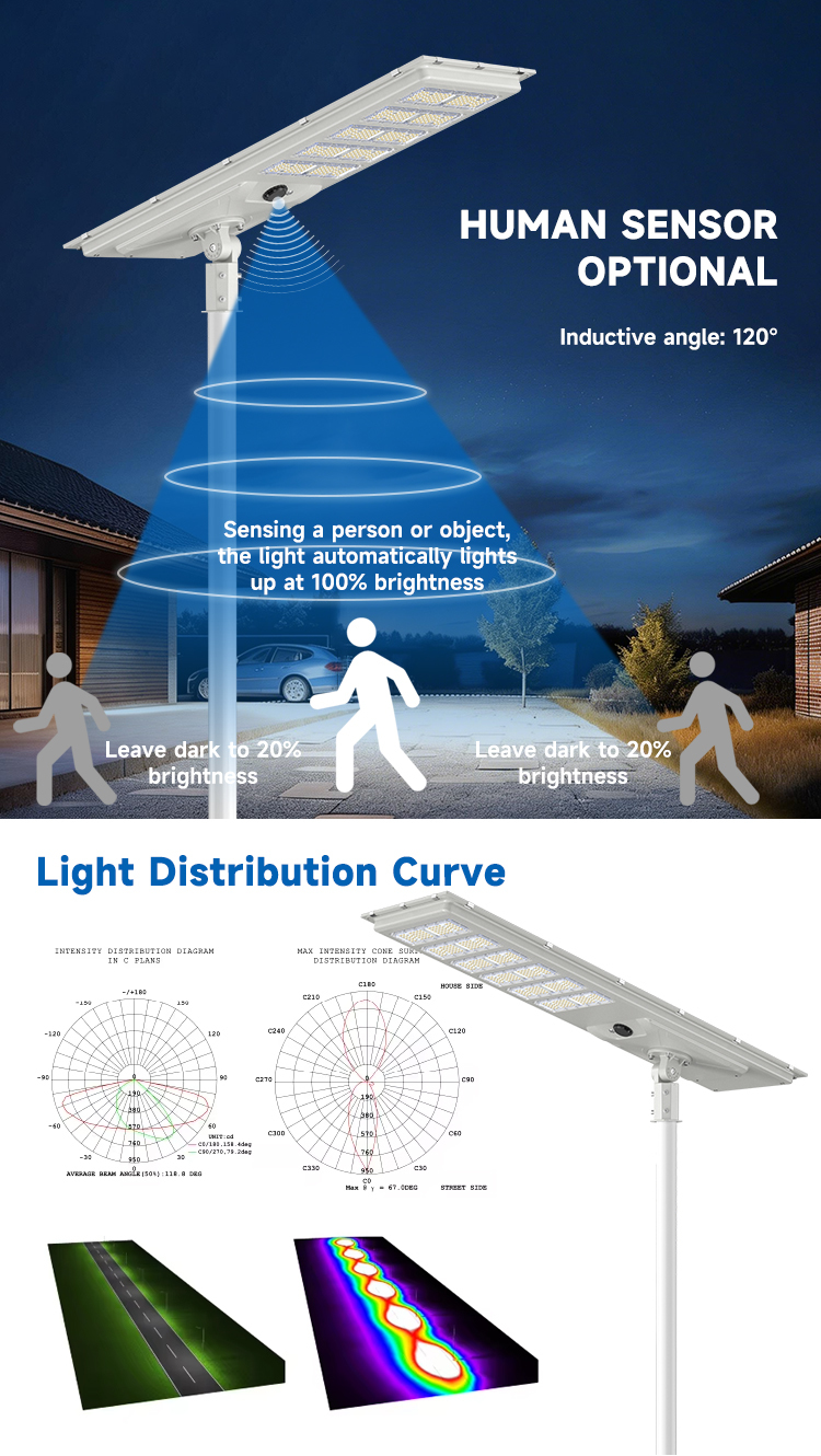 Smart Remote Control All-in-One Solar Street Light MPPT Controller Dusk to Dawn