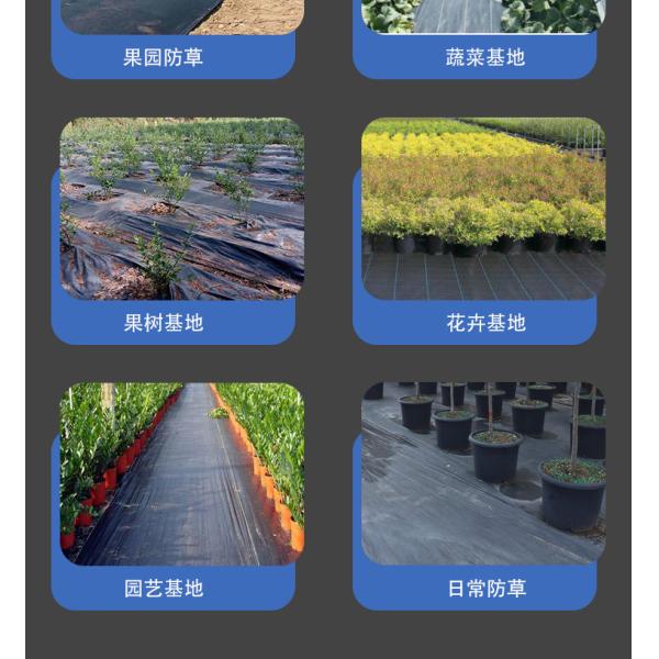 Garden Weedmat Agriculture Ground Cover Landscape Fabric Telo Pacciamatura Plastic Mulch Film Agricultural