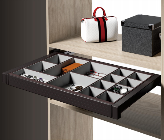 Modern Walk In Closet Minimalist Closet Modern Wardrobe Closets