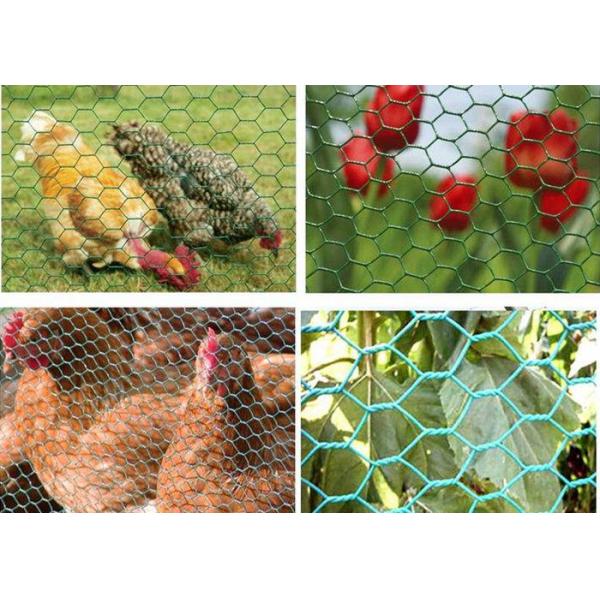 Professional Galvanized Gabion Wire Mesh Safety for Poultry , 0.5-2.5m Width