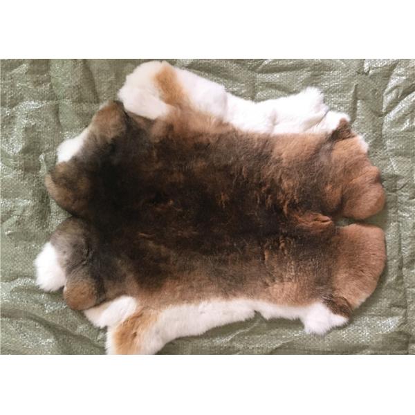 Piel natural del conejo de Rex de la chinchilla, piel esquilada auténtica suave de la chaqueta de la piel del conejo