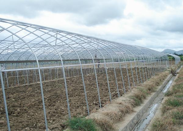 Commercial Plastic Film Greenhouse Hydroponic Hot Dipped Galvanized Steel Structure