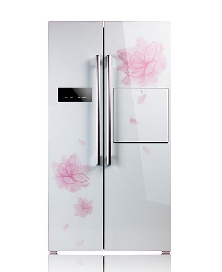 Frost Free Side By Side Refrigerator Freezer Big Capacity Fashion Interior Design
