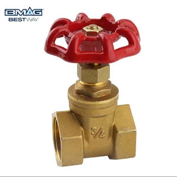 Normal Temperature DN15-DN100 Small Brass Internal Threaded Universal Manual Gate Valve
