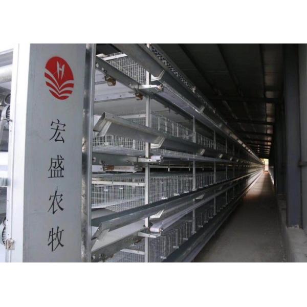 Hot-dip galvanizing technology Reliable Layer Poultry Farming Equipment / Egg Laying Chicken Cages
