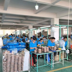 Foshan Lisheng Technology Co., Ltd.
