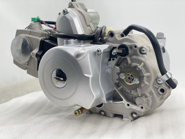 110CC 4 Stroke DAYANG Tricycle Motorcycle Engine with Dual Clutch and Electric/Kick Start
