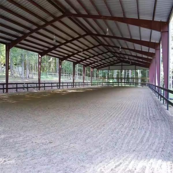 Sports Hall Gymnasium Design Steel Structure Basketball Court Construction
