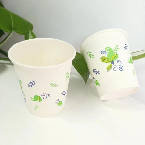 Supermarket Single Wall Disposable Paper Cup 8 Oz with Competitive from Supply