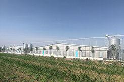 Big Discount Discount Wall Mounted Greenhouse Poultry Farm Exhaust Fan Industrial Ventilation Swung Drop Hammer Fan