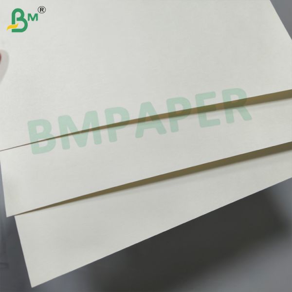Food Grade Paper Cup Base Paper, Single / Double Side PE Coated 180-350gsm