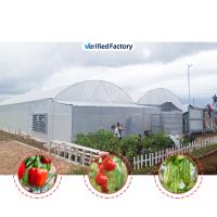 Cultiver des fleurs et des légumes Serre Quonset Hut Conservatoire de la maison de culture de la gouttière reliée à la serre Grandes serres avec ventilation sur le toit